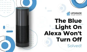 solid blue light on alexa won't turn off